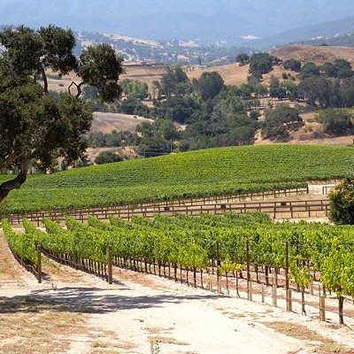 Ballard Canyon becomes its own American Viticultural Area