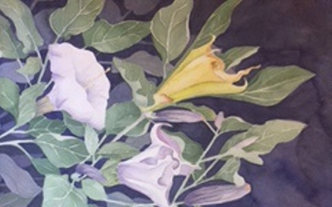 Cypress Gallery showcases watercolor artist Diane Atturio