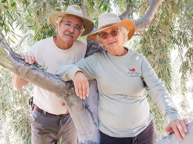 DRY FARMING: Stephen Gliessman and Roberta Jaffe, who own and operate Condor’s Hope Vineyard where they dry farm grapes and olives using minimal water, are two of more than 500 landowners facing a lawsuit over their groundwater rights.