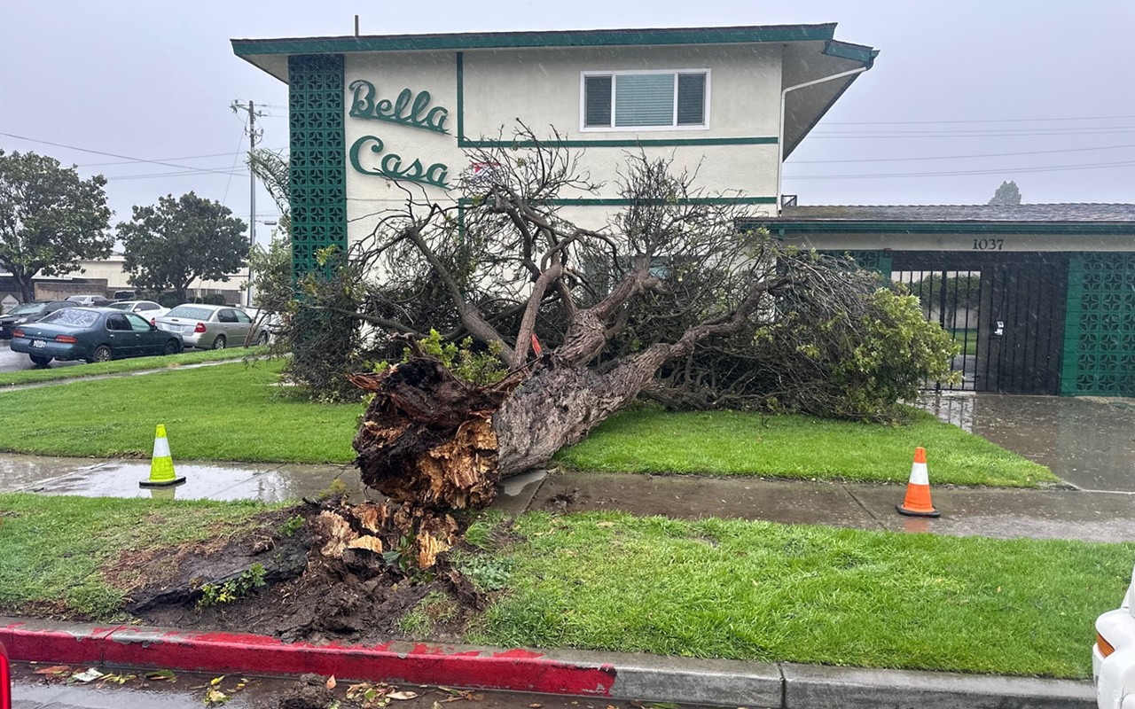 Northern Santa Barbara County receives minimal damage in storms