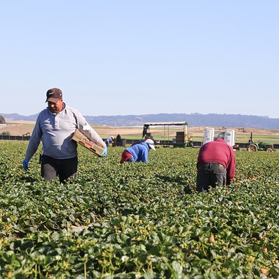 Rancho Nuevo violates farmworker rights, ordered to pay $1 million in back wages