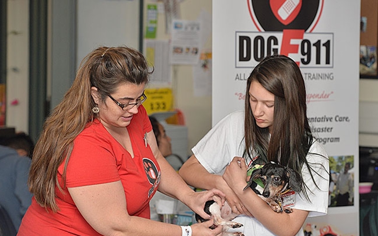 Righetti Animal Lovers complete animal emergency training