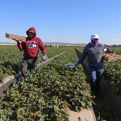 Santa Barbara County supes form committee to study farmworker conditions