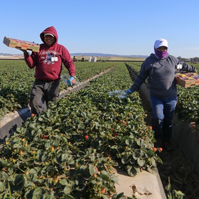 Santa Barbara County supes form committee to study farmworker conditions