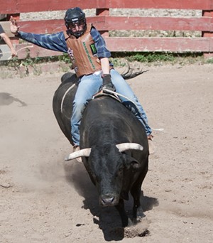 Professional bull riders chase rodeos for the adrenaline and a paycheck