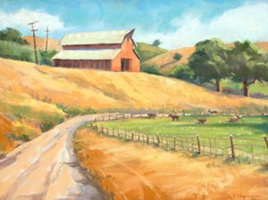 Husband-and-wife duo John Iwerks and Chris Chapman showcase vivid landscapes in new Solvang exhibit, Widening Circles