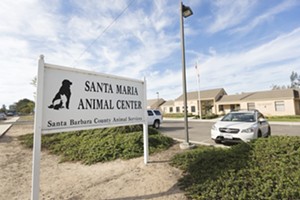 County volunteers look for answers in animal services director firing
