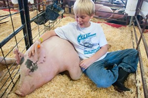 All in the family: Raising swine is a multi-generation affair in Northern Santa Barbara County