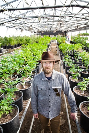 Just a plant: Farmers stress that cannabis is another agricultural commodity