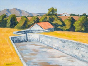 Husband-and-wife duo John Iwerks and Chris Chapman showcase vivid landscapes in new Solvang exhibit, Widening Circles