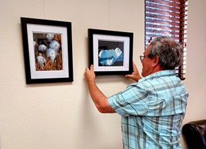 Searching for Snow exhibit highlights icy photographs by Lee-Volker Cox
