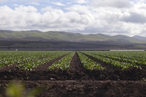Boavista Farms, E&amp;A Farming pay penalties for failing to report nitrate use