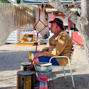 Healing through horsemanship