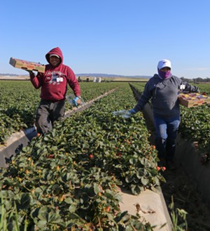 Santa Barbara County supes form committee to study farmworker conditions