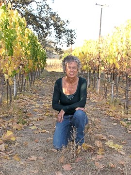 Vineyard Seasons