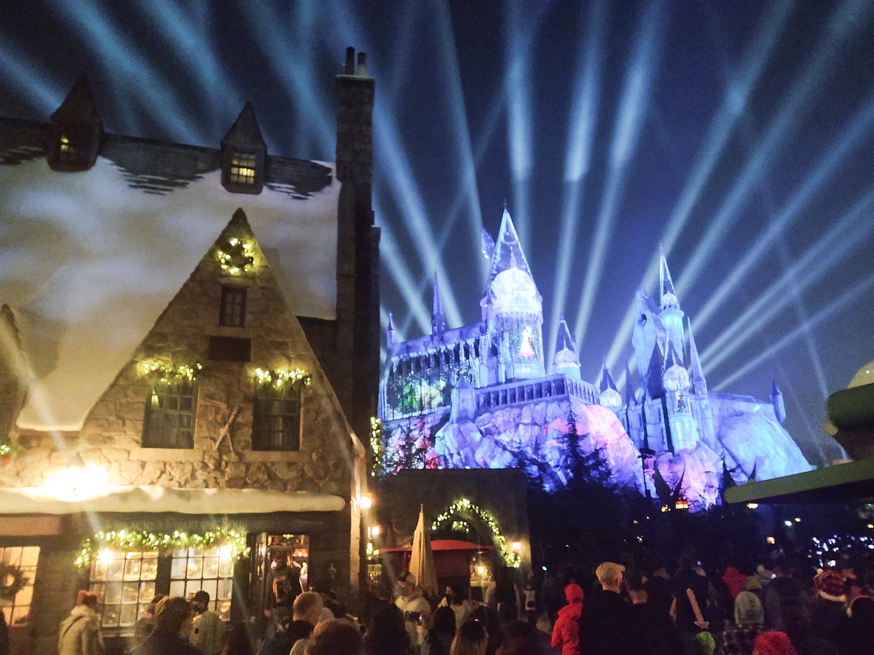 Watch: The 12 Days of Wizarding Christmas